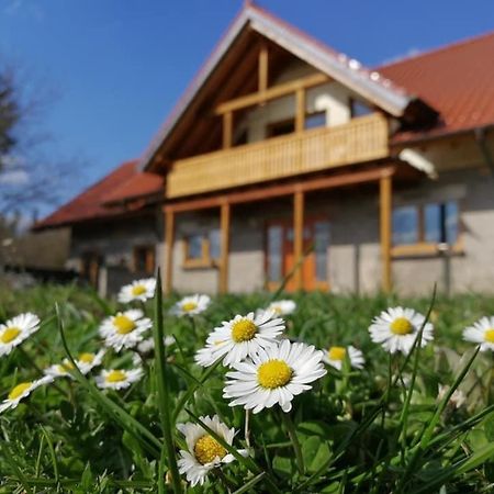 Wandertraum Johann - FeWo Eifel Kruft Eksteriør billede